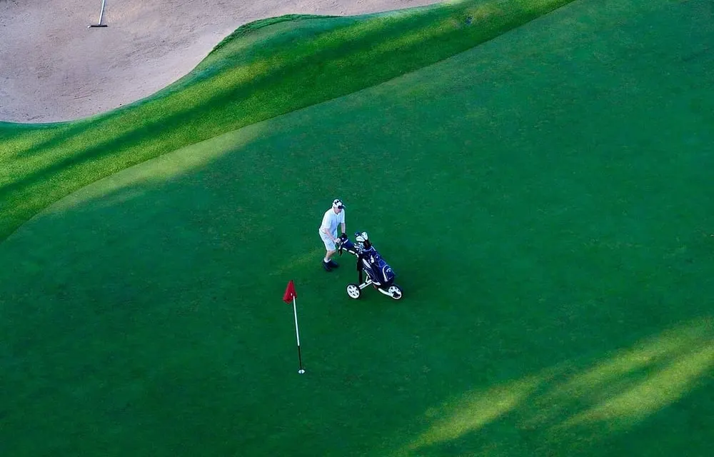 Golfer with a trolley beside the flag on a putting green, Royal Canberra Golf Club, Australia, illustrative image